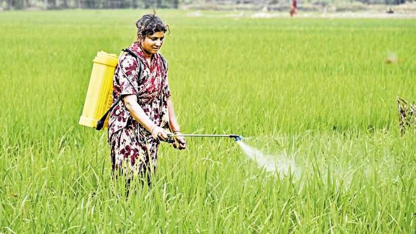 farmers-2.jpg