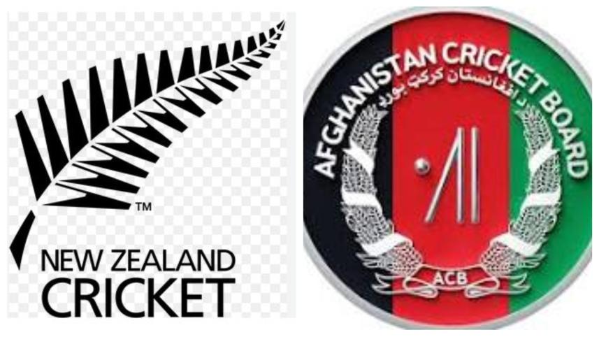 nz-afghan.jpg