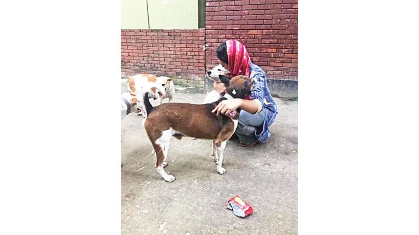 animal-lover.jpg