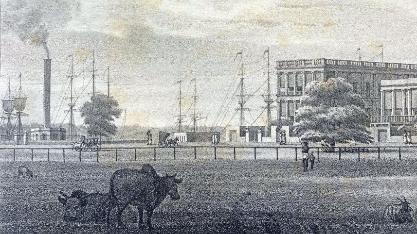 british-bengal-1.jpg