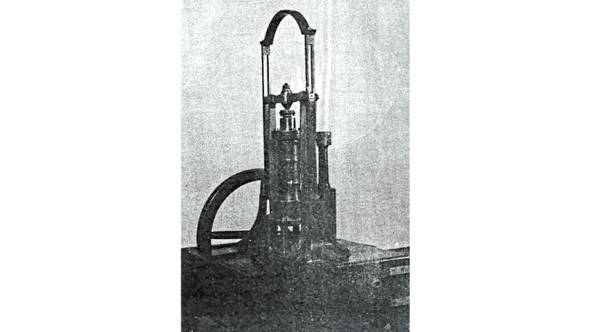 british-bengal-3.jpg
