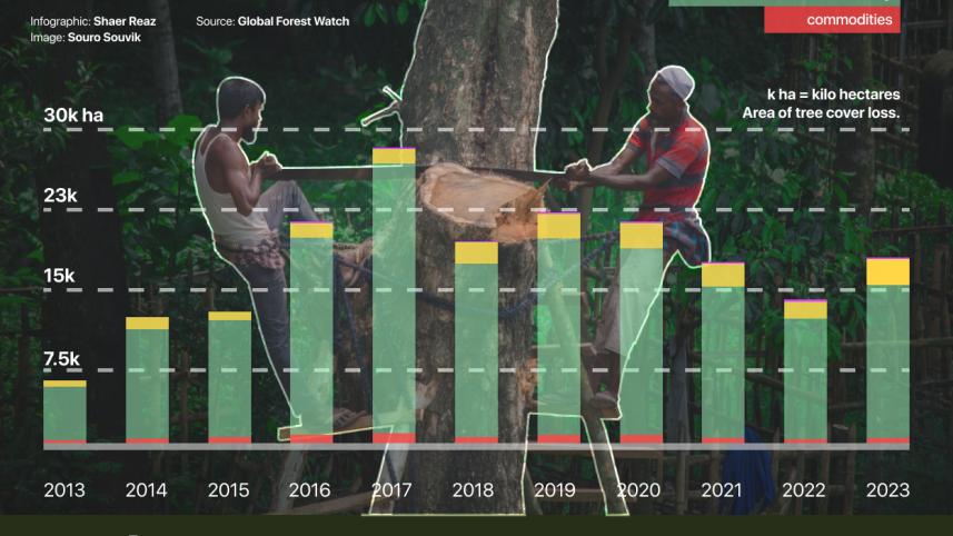 Decade of deforestation