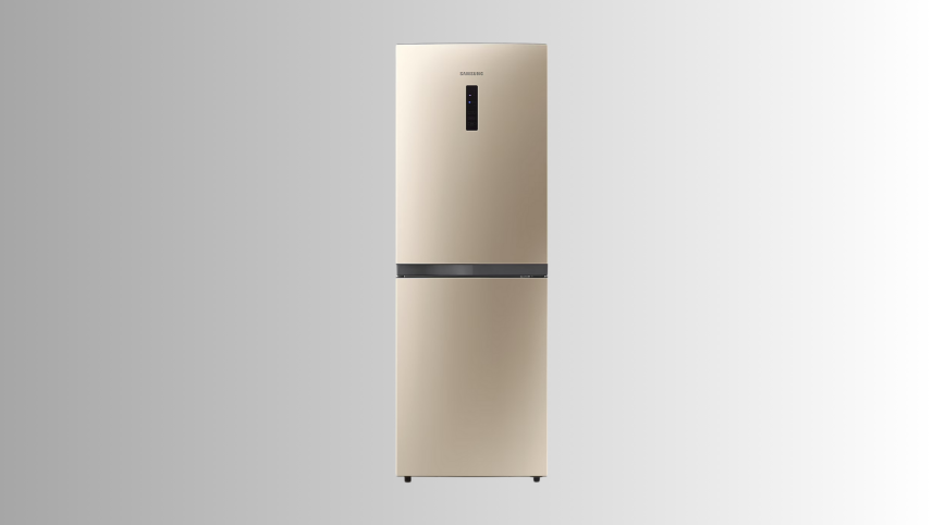Samsung RB21KMFH5SK/D3