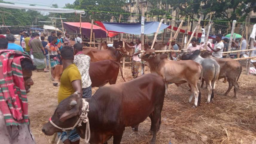 cattle_market.jpg