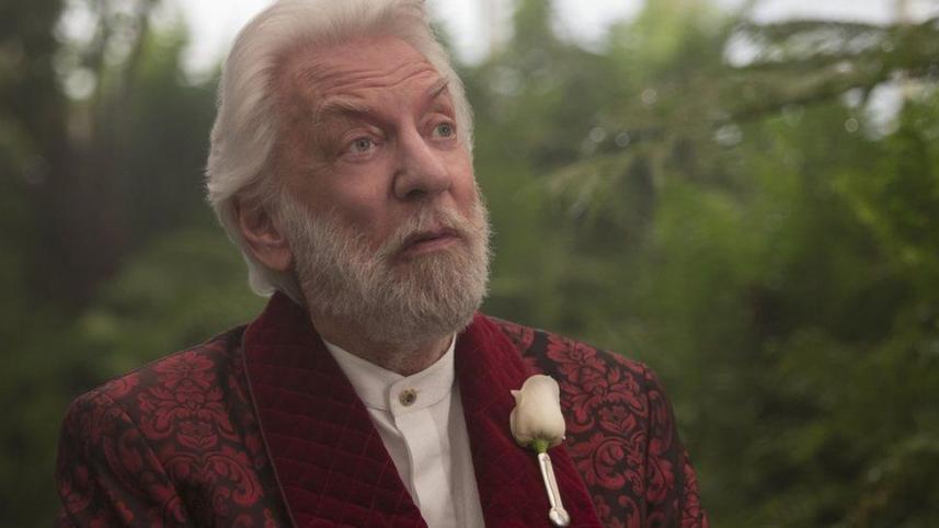 _86730380_hungergamessnow.jpg