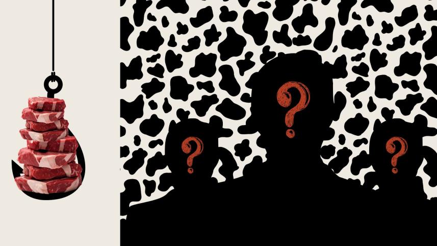 MP Anar, violence, corruption, people silhouette, meat, 