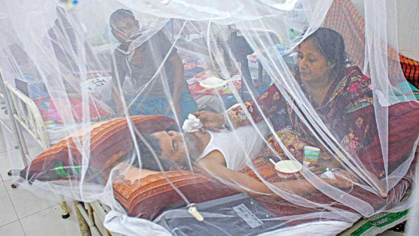 dengue,