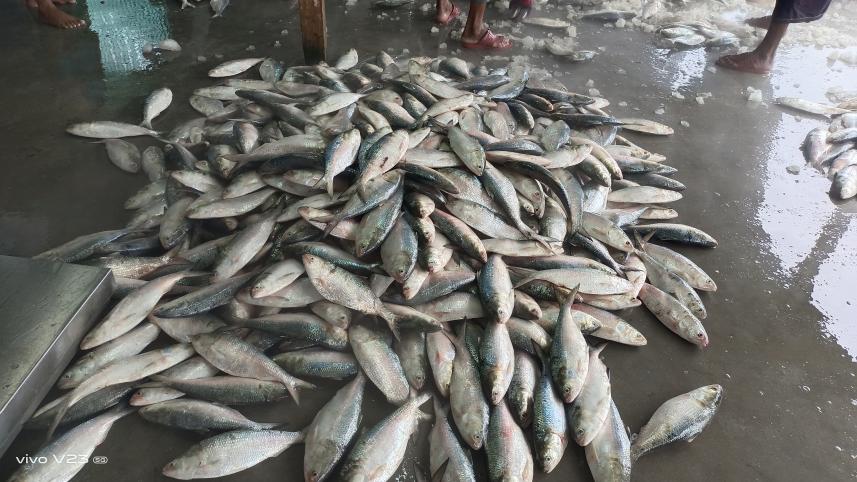 fisheries 