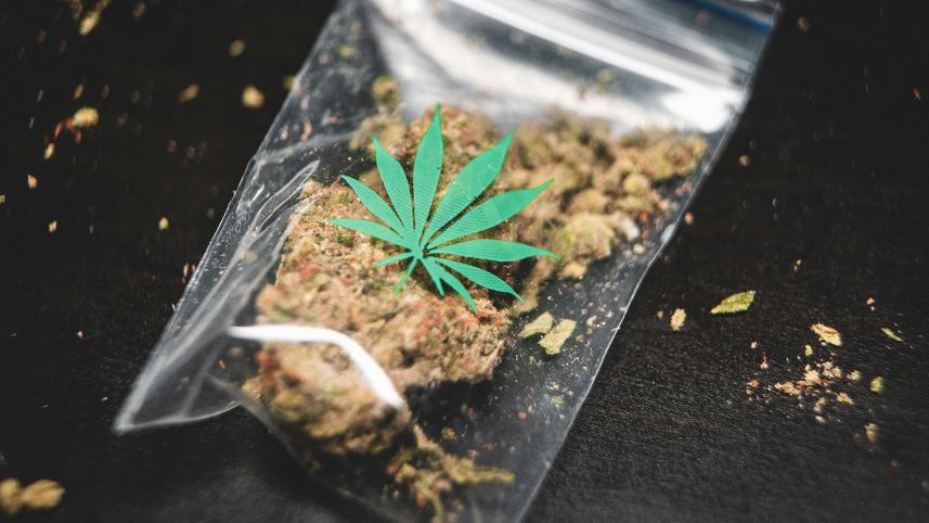 thailand_marijuana.jpg