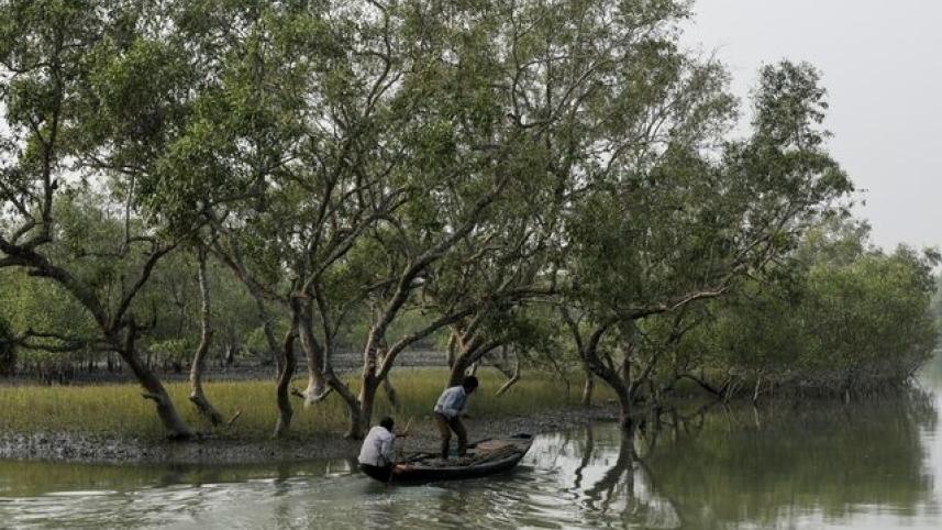 If forests and wildlife habitats are to exist, necessary legal power needs to be given to stop encroachment and protect them. FILE PHOTO: REUTERS
