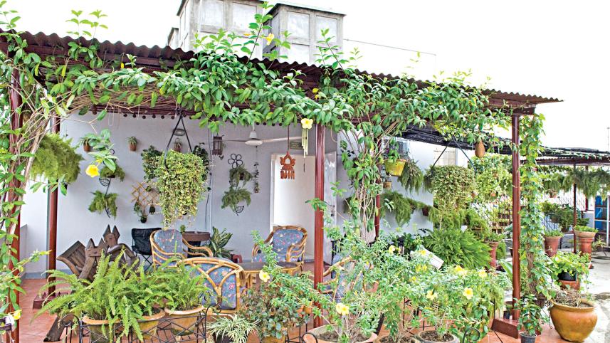 Eco-friendly planters for rooftop gardens
