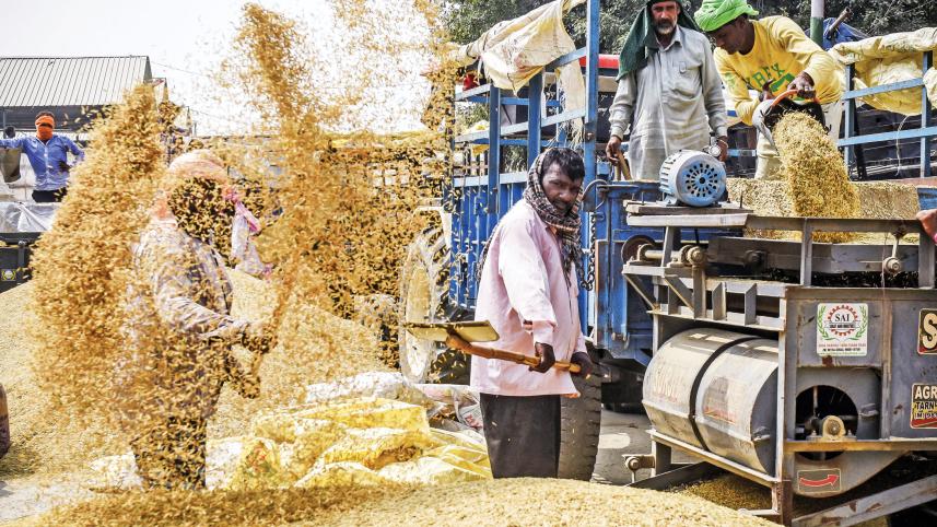 india_rice.jpg