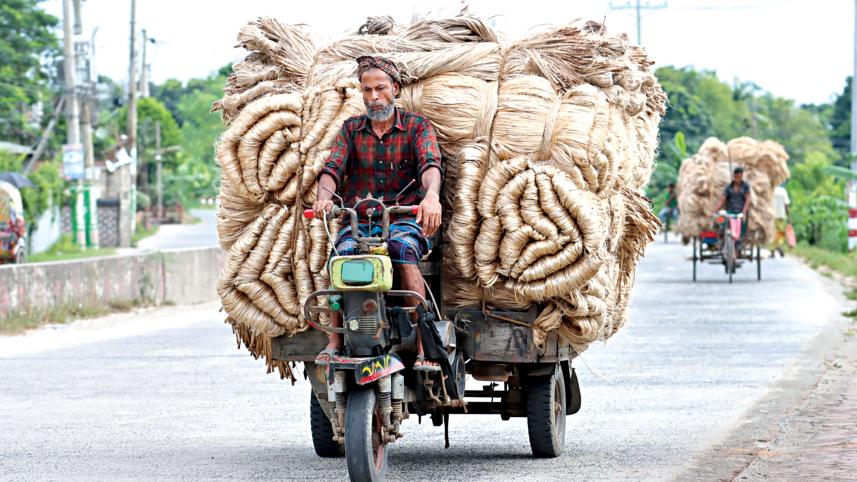 jute.jpg