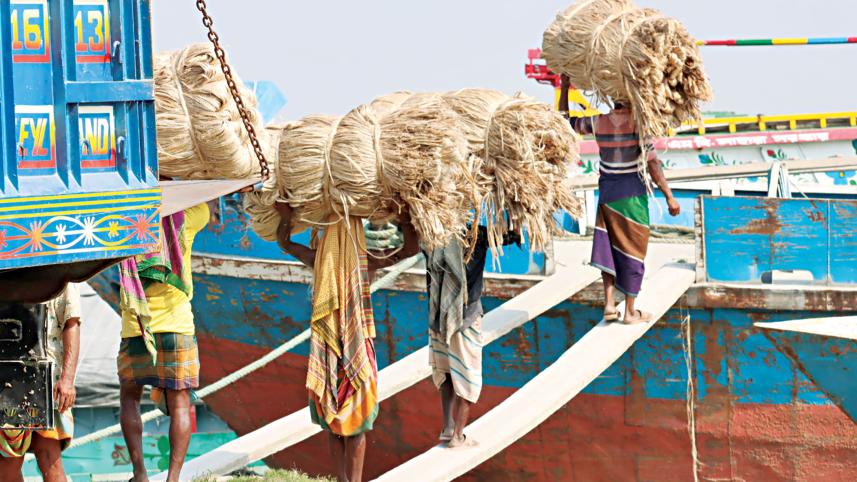 jute1.jpg
