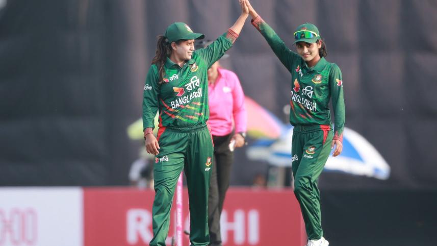 tigresses.jpg