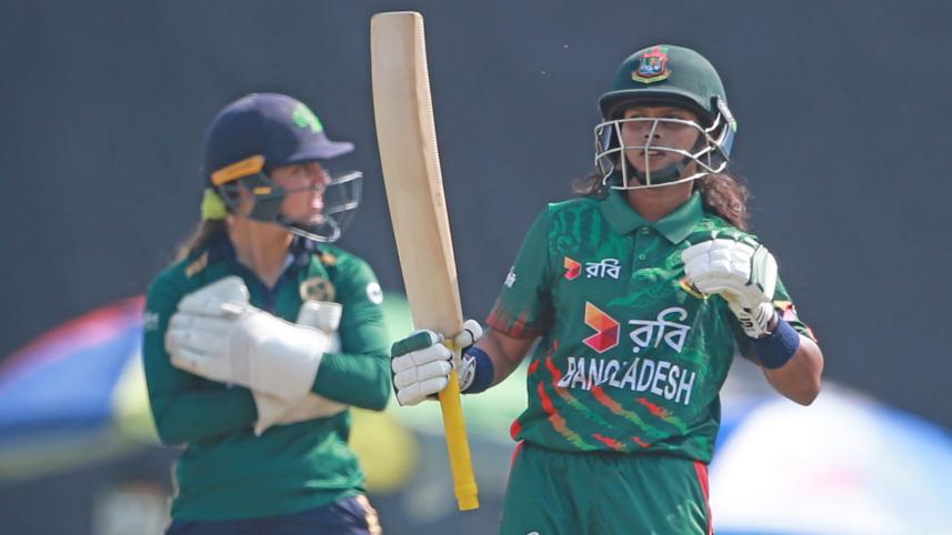 tigresses3.jpg