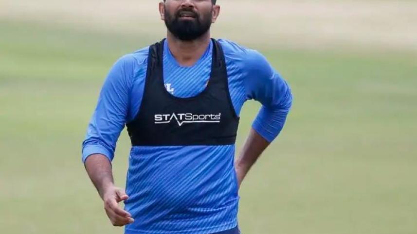 shami.jpg