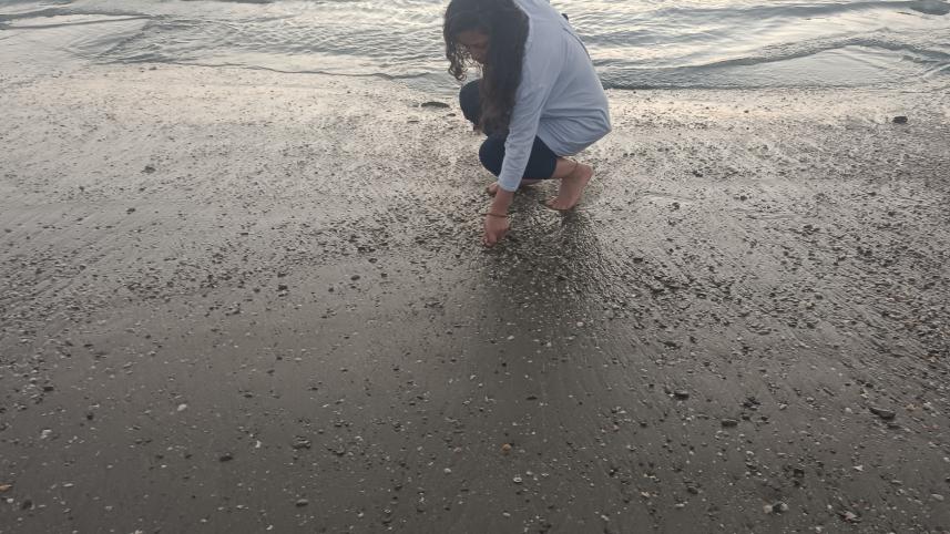 img_20241120_171302.jpg
