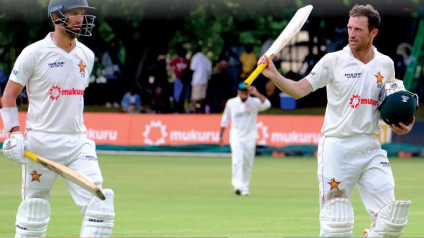 zim_cricket.jpg