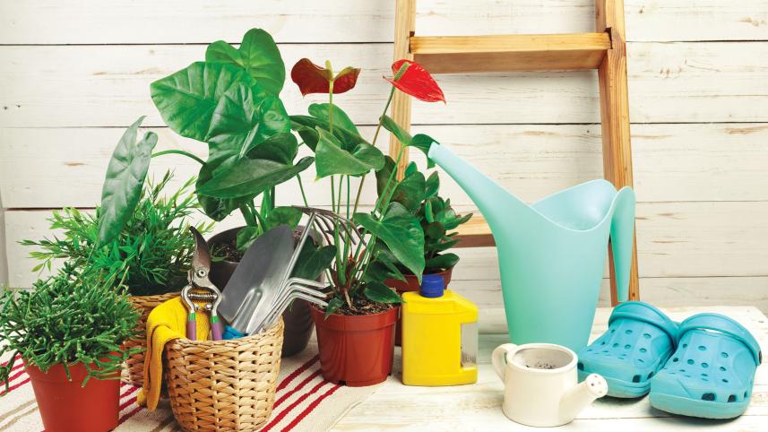 composition-garden-tools.jpg