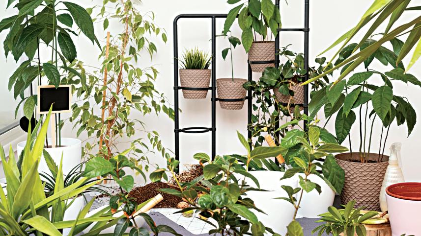 garden-home-concept.jpg