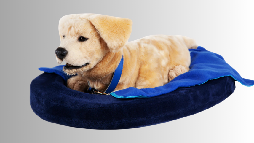 tombot_jennie_dog.png