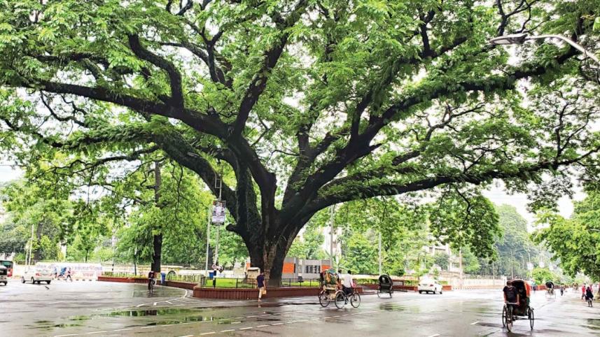 Restricting Dhaka University: When safety meets public outrage