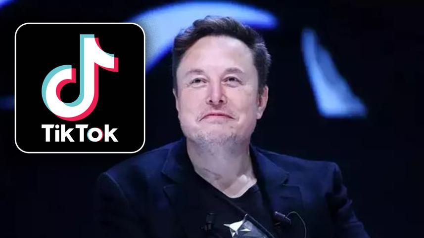musk.jpg
