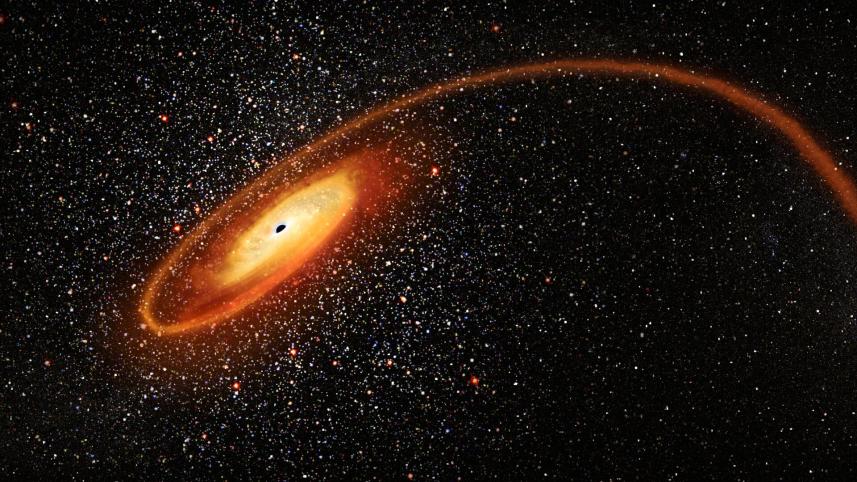 scale of the universe