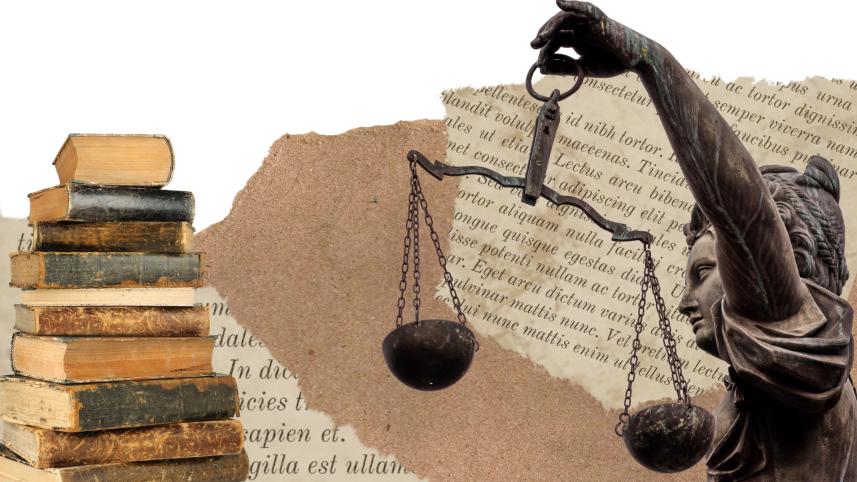 Career struggles of young female lawyers.