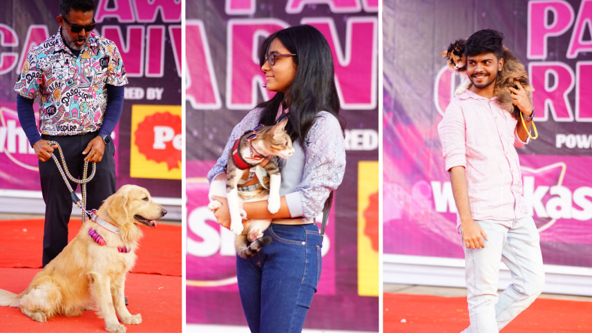 Pet show
