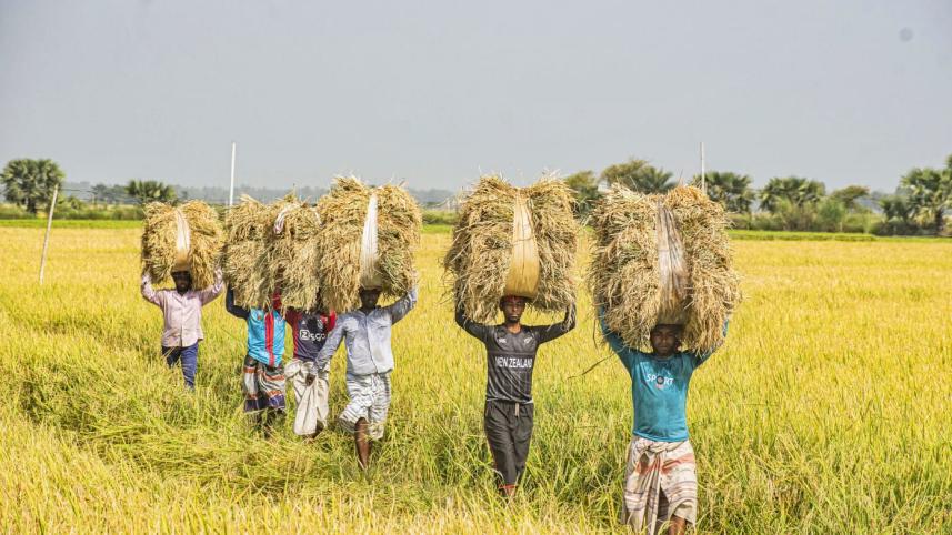 Circular agricultural platform can benefit farmers and consumers