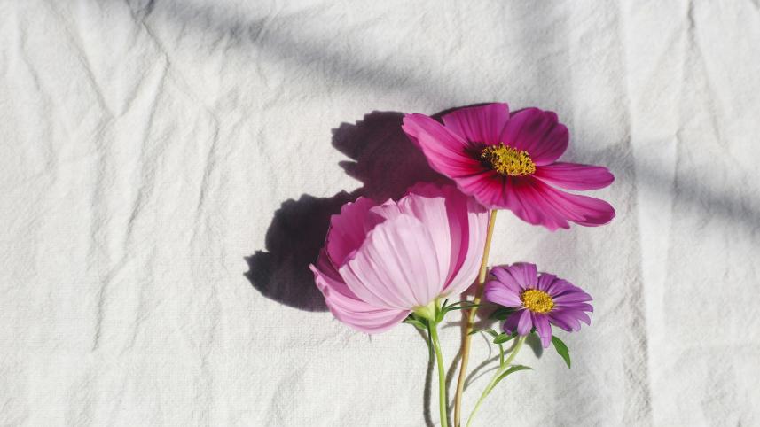 How to stop your flowers from dying as fast as your New Year’s Resolutions