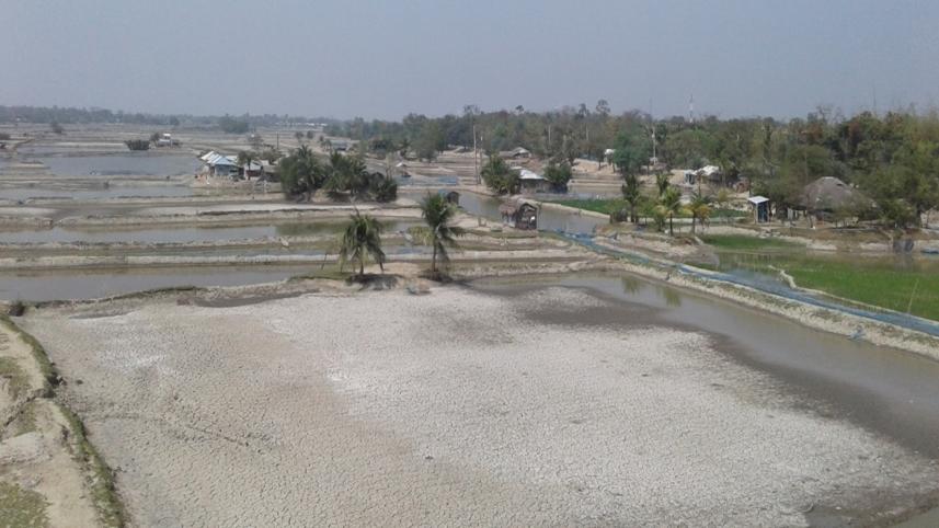 Shrimp farming in the coastal region