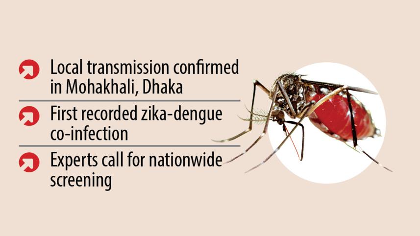 zika-cluster.jpg