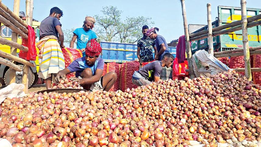 onion-farmers-2.jpg