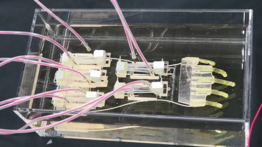 Robot hand