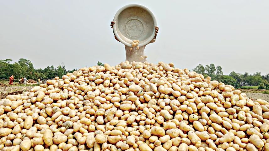 potato.jpg