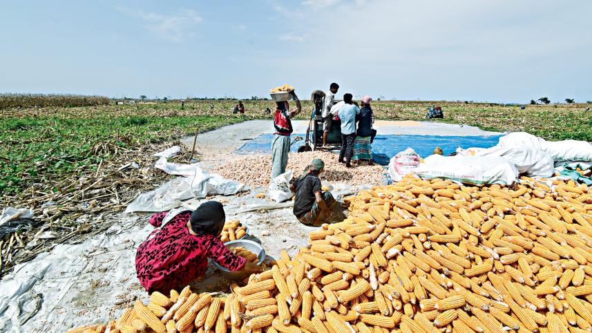 vegetables-grown.jpg