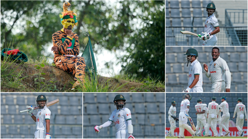 Tigers.png