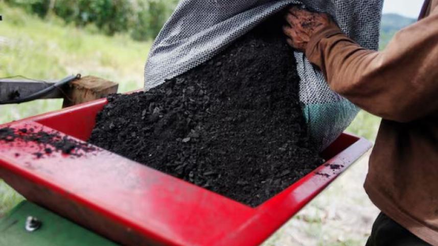 biochar