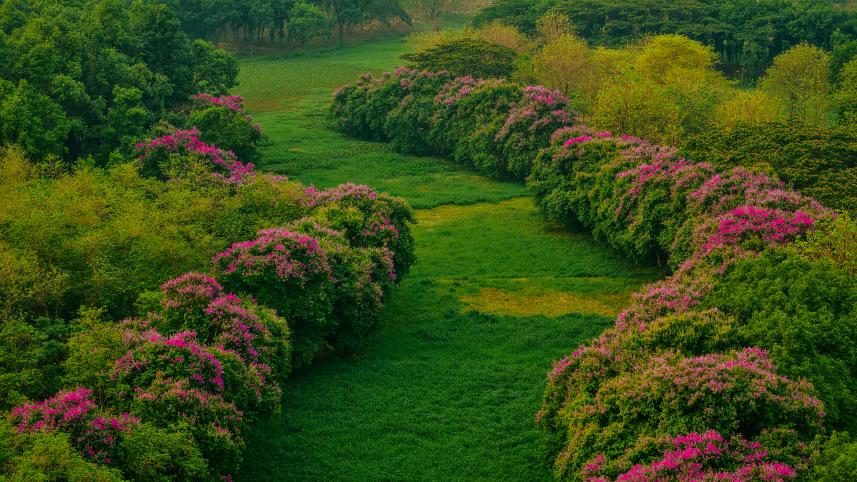dji_20250422171733_0608_d_mahat.jpg
