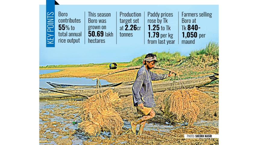fresh-boro-paddy.jpg