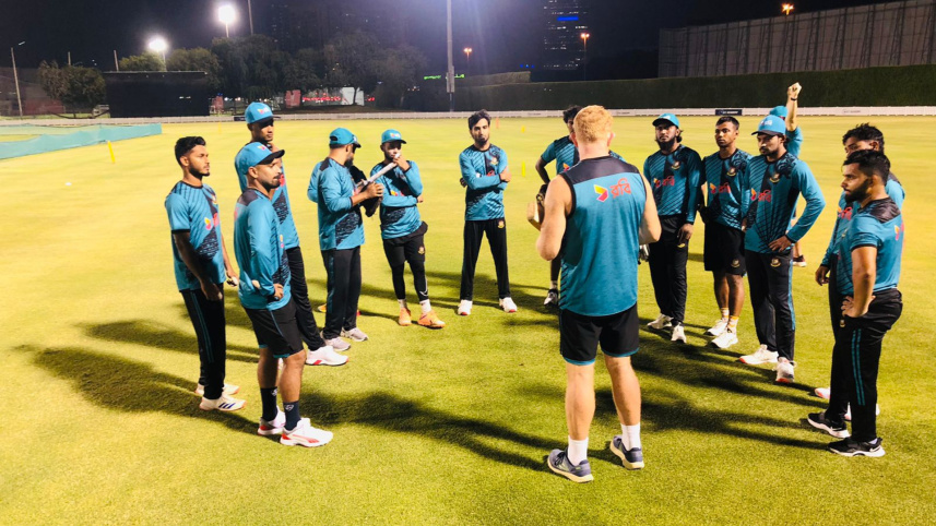 tigers_in_sharjah.jpg
