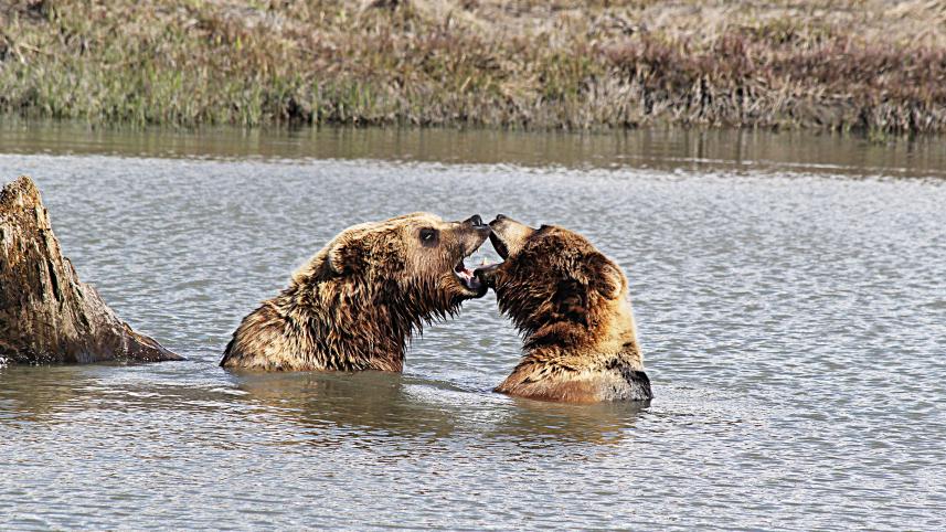 alaska-11.jpg
