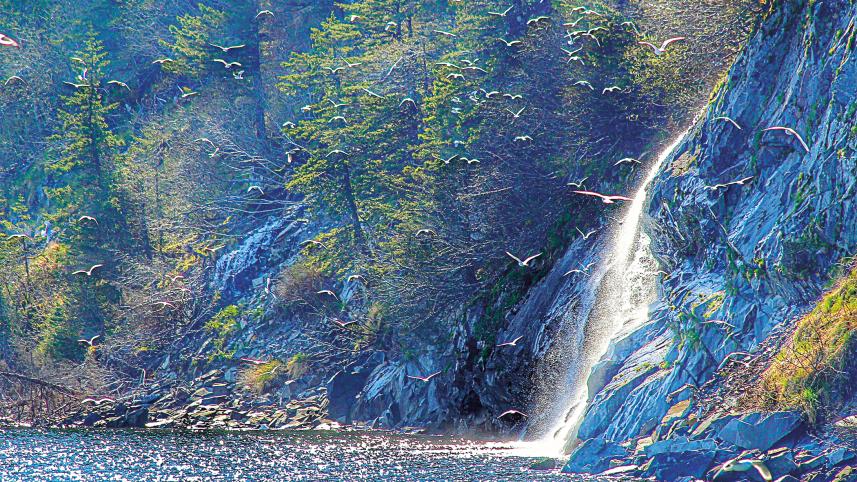 alaska-5.jpg