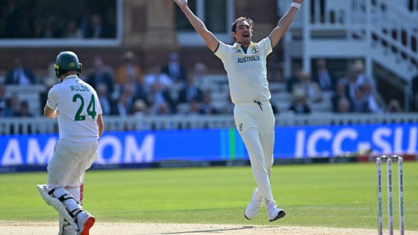 starc.jpg
