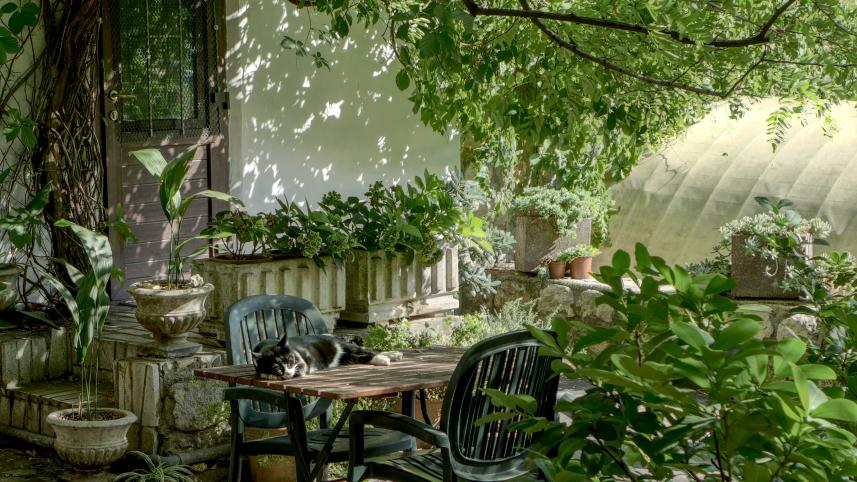 Jazz up your garden this summer with these simple tricks!