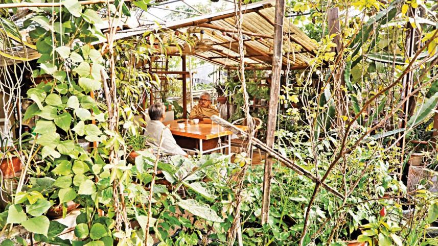 Dhaka’s rooftops could feed the city, but law keeps getting in the way