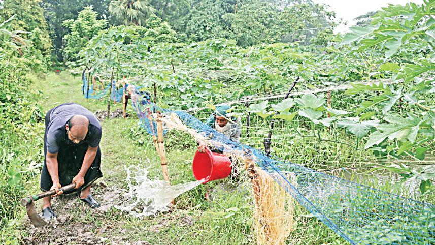 vegetable-growers.jpg